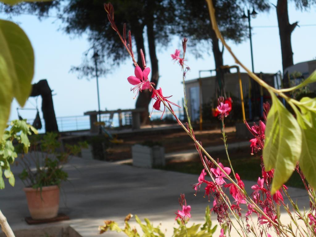 Brunello Seaside Apartments Лефкада Экстерьер фото