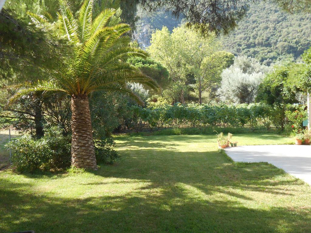 Brunello Seaside Apartments Лефкада Экстерьер фото